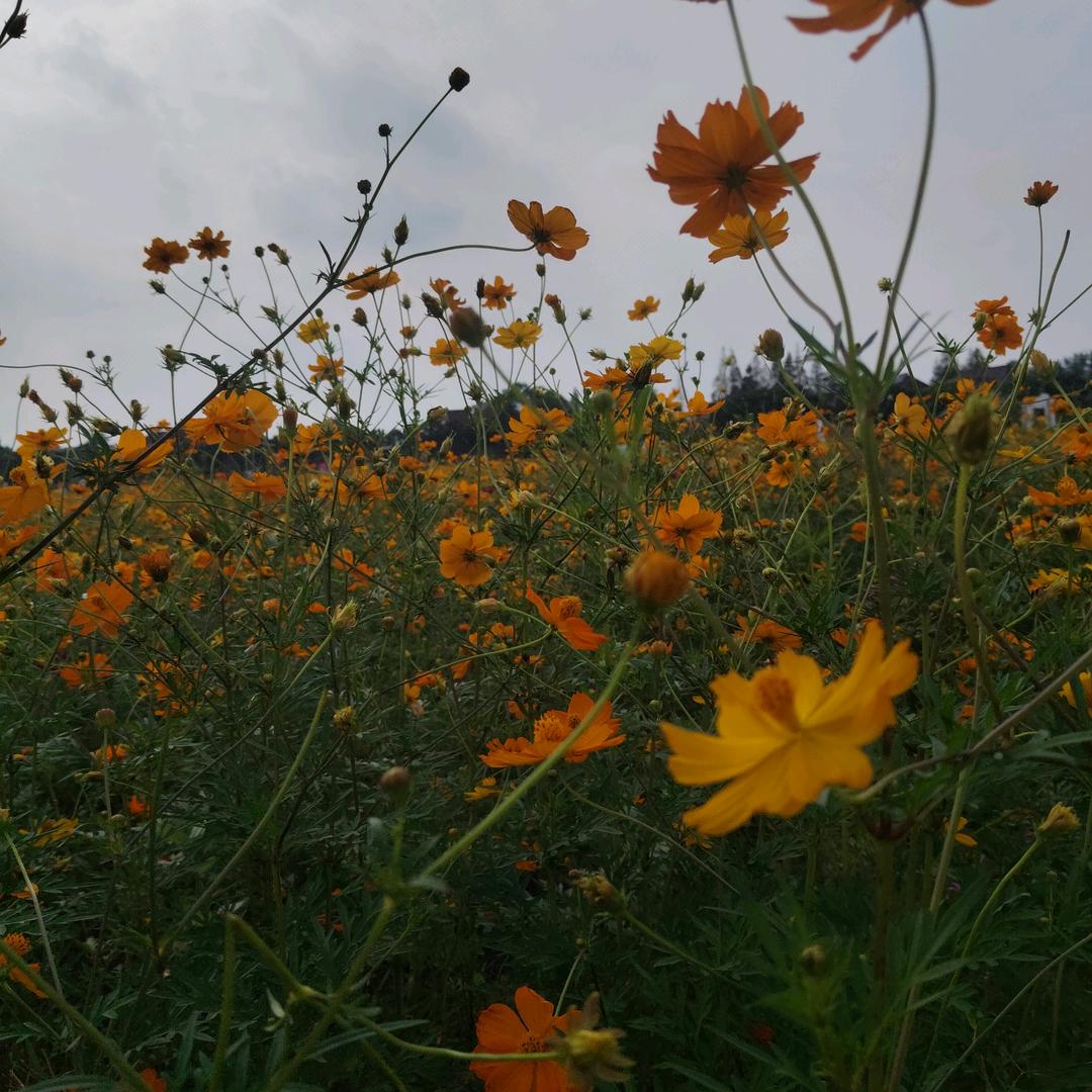 我还是以前的我