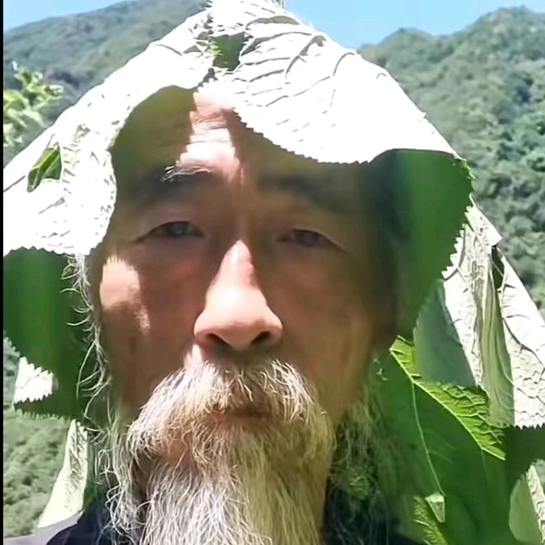 小花啵一
