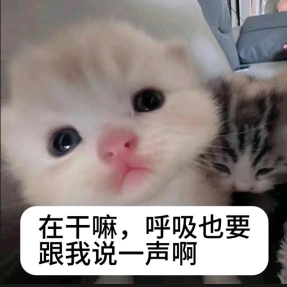 邪恶画画入