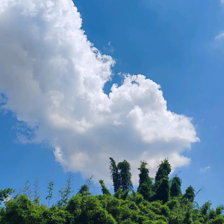 等等我好吗