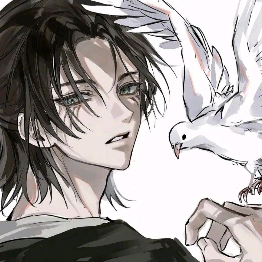 王者荣耀小白鸽（国服老虎国服马超）