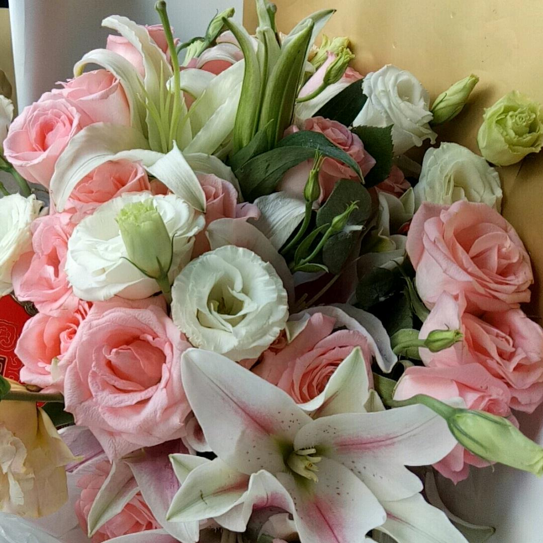 🍎🍎星海之缘🍎🍎