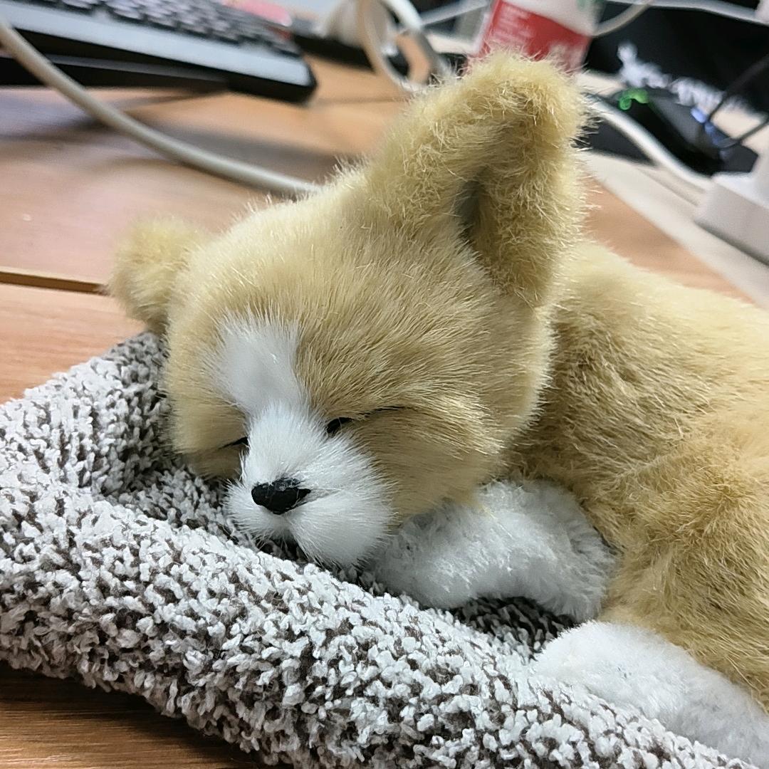 言漫百货店
