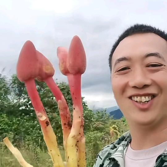 釉衣美水性釉面漆正安