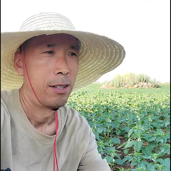 低音土炮