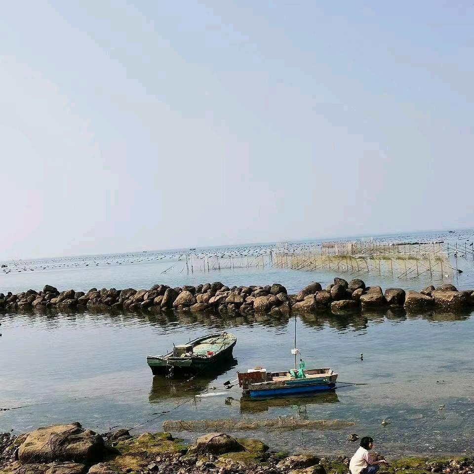 向往美好