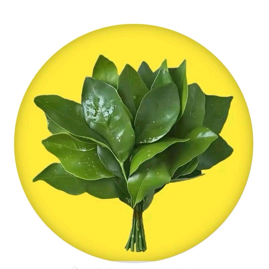 ☘颠🌴沛☘️刘💍李🌳