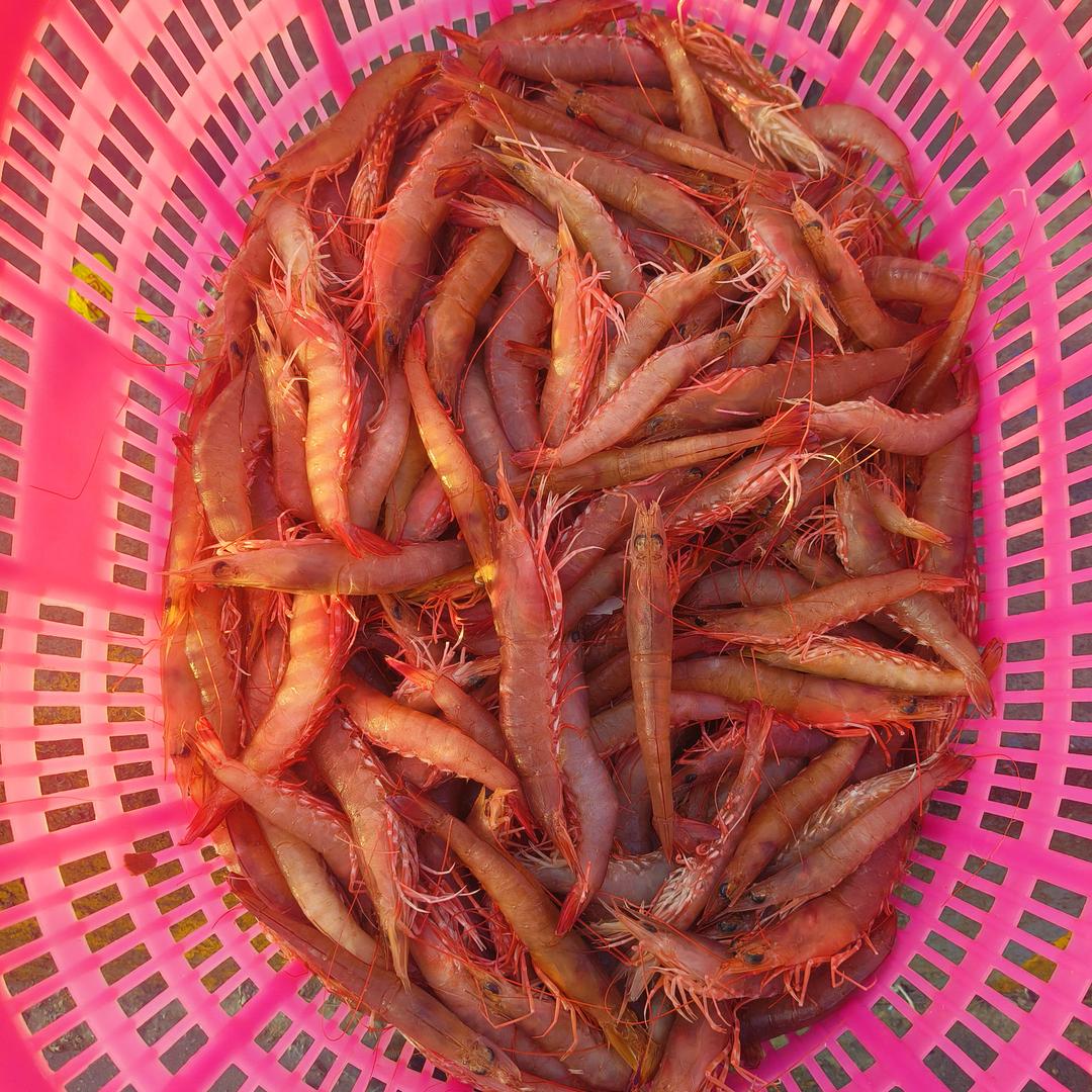 阿富海鲜