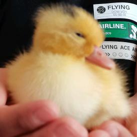 浏下莱      呀！！！