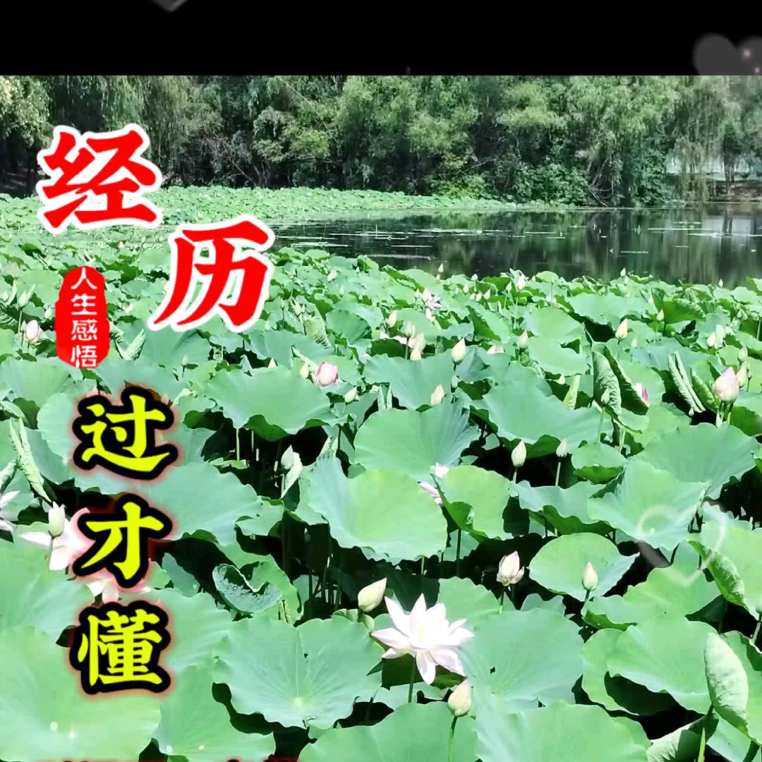 男人四十
