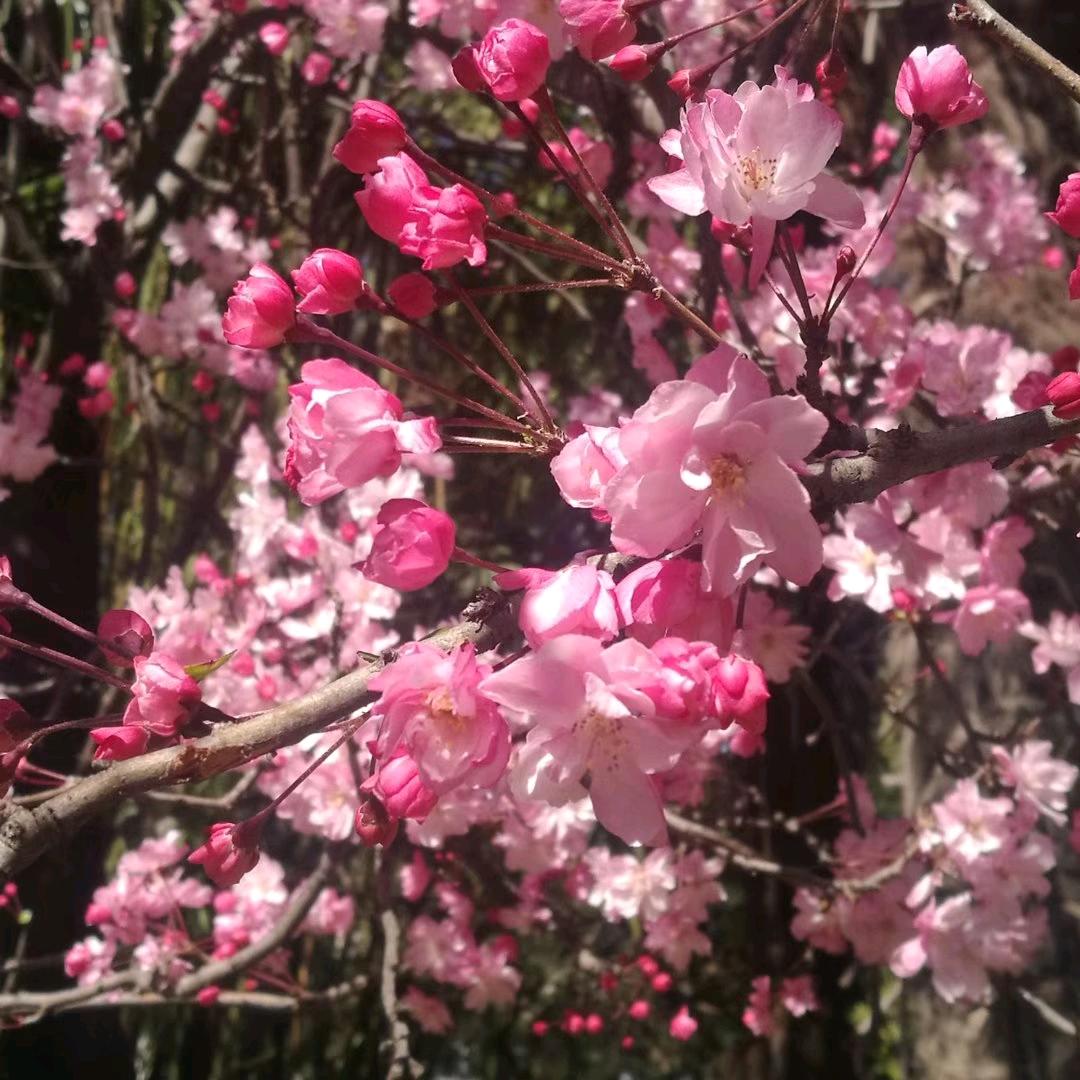 爱美食的毅哥²⁰⁴⁶🐰🎼⛽️