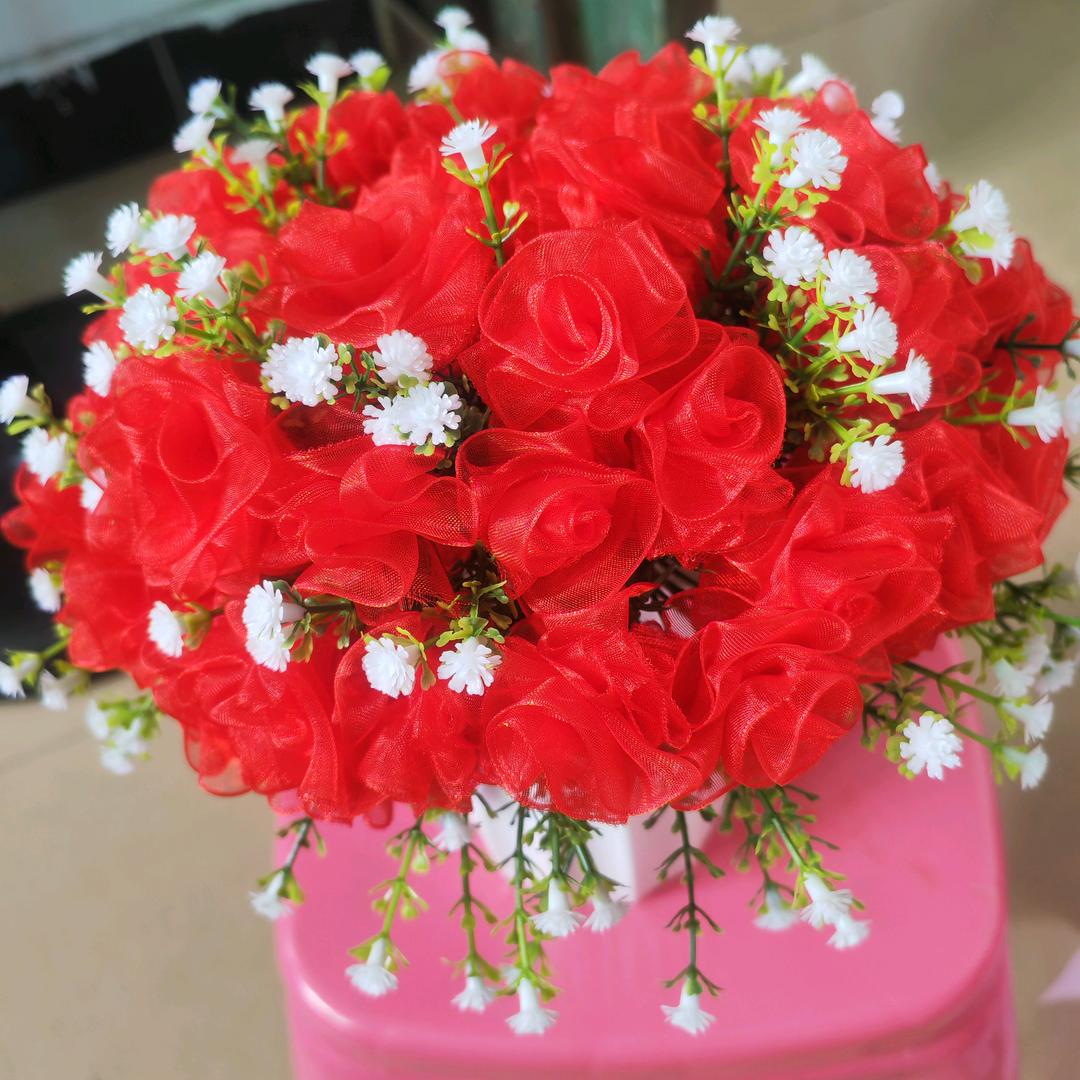 努力💪奋斗👍