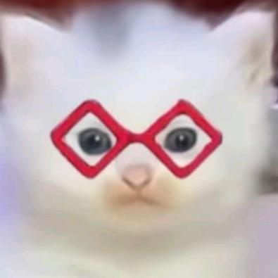 时光猫（原时光侠）