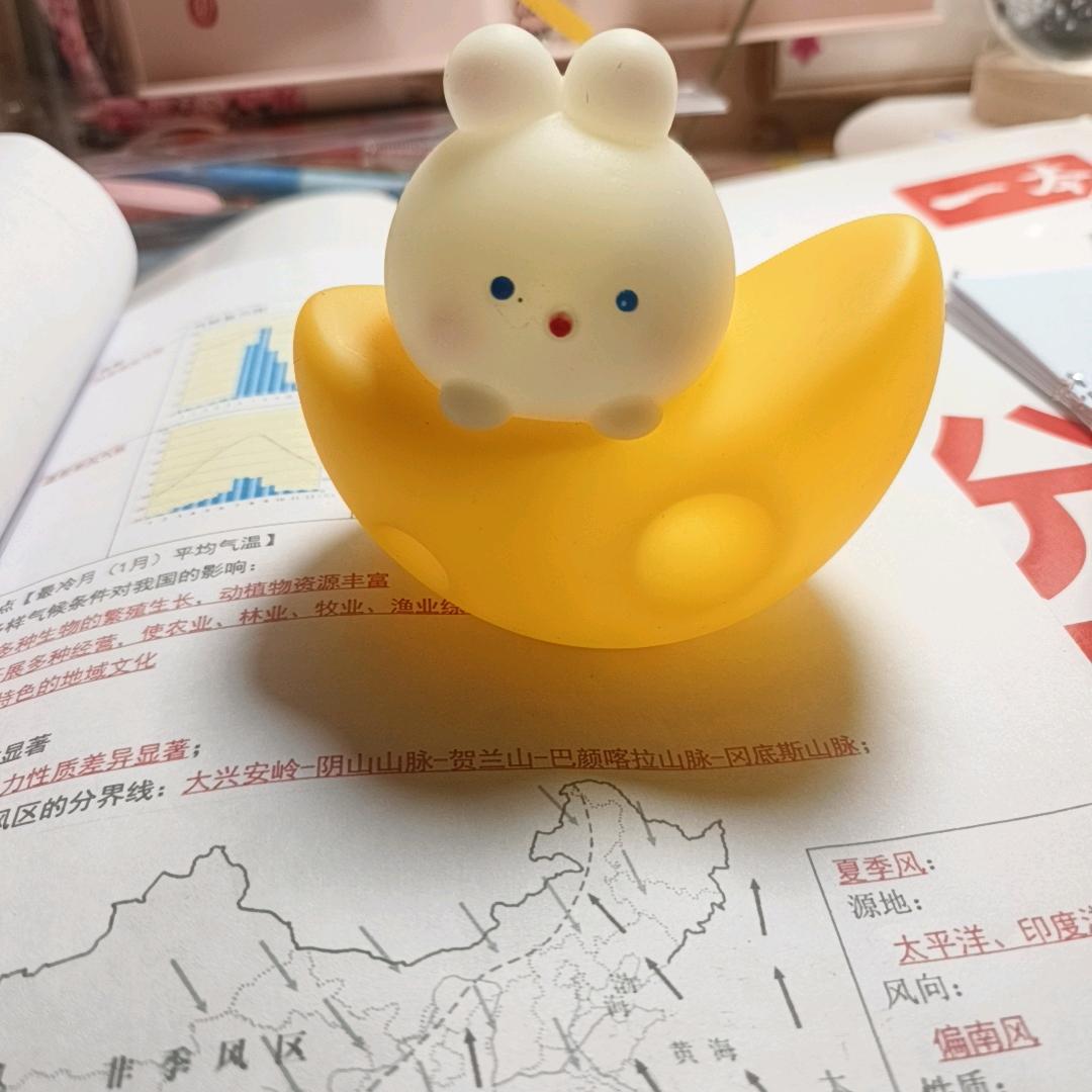 加油丫