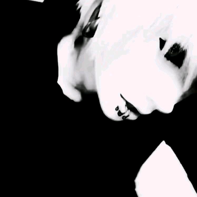 我变成这样全都是你害的