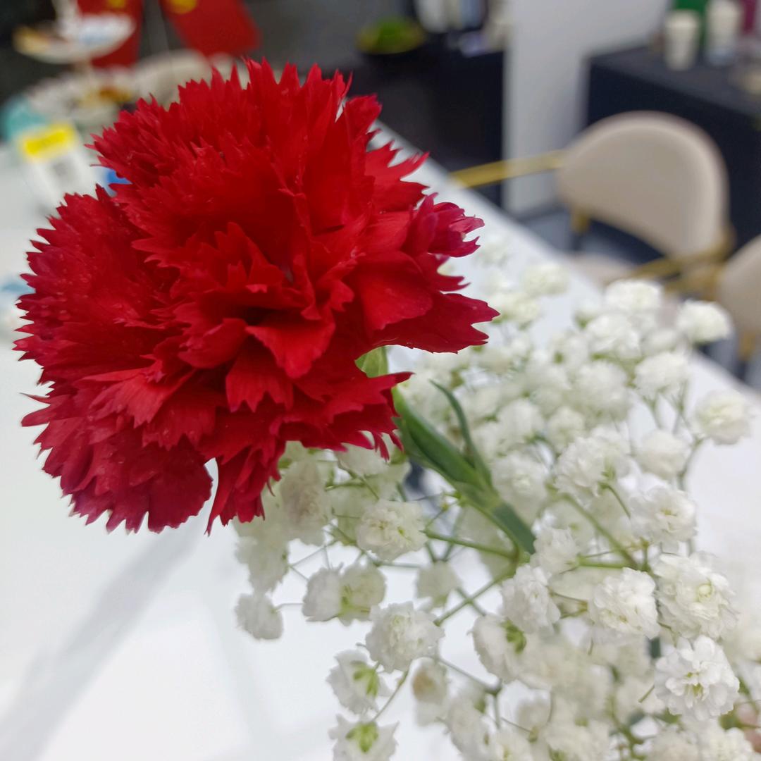 💖女王驾到ღღ🕊᭄