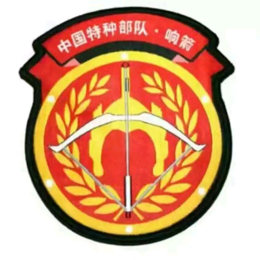 中威震远安保公司