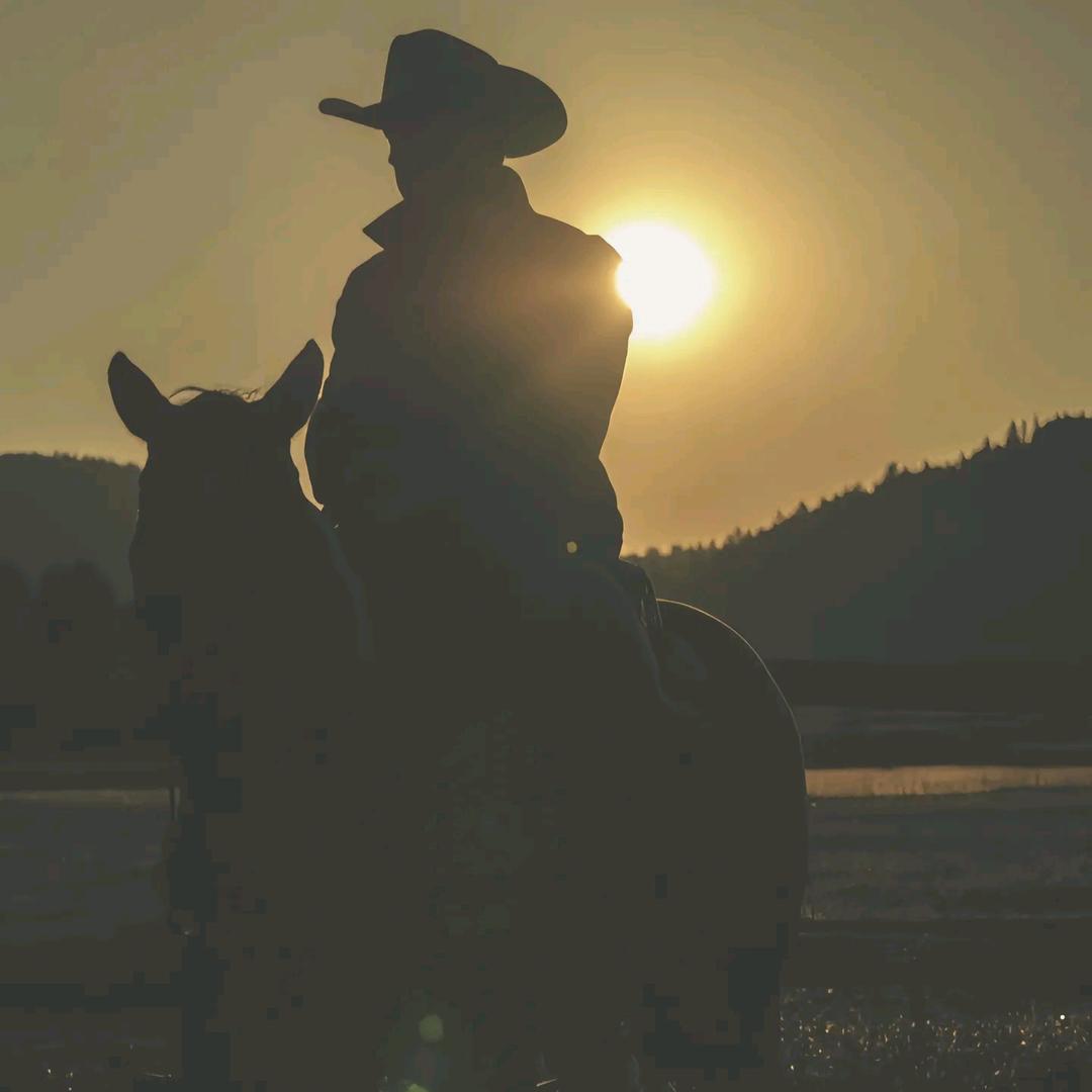 荒野大镖客线上