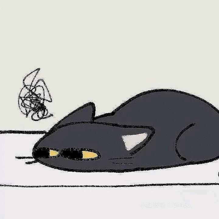 慕阳@