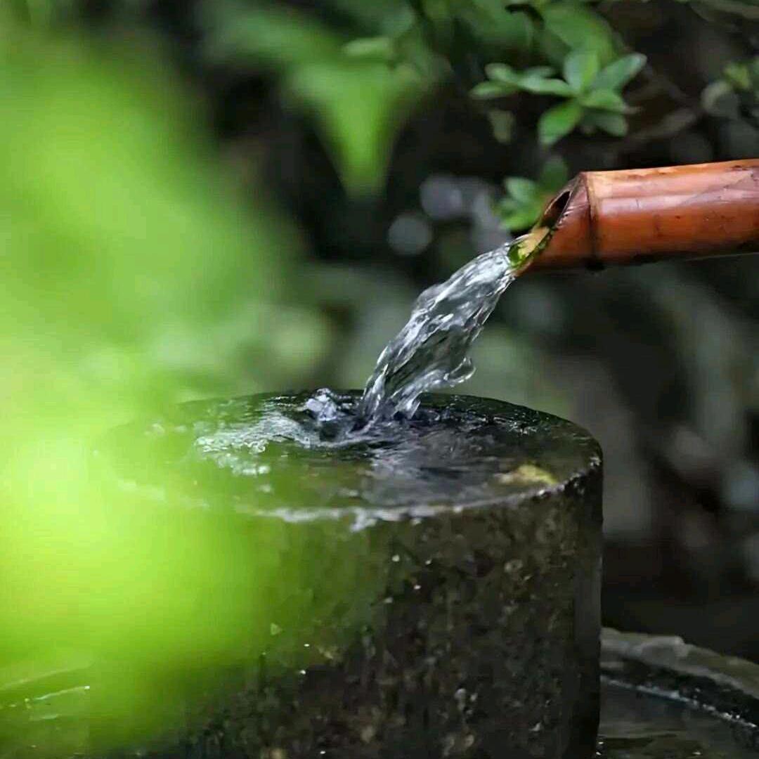 李主任带你康养