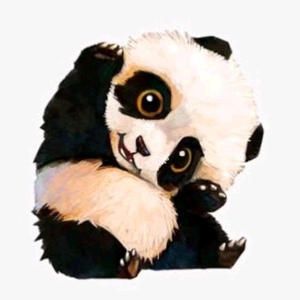 不老纤夫