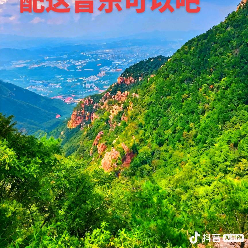 发哥贴砖