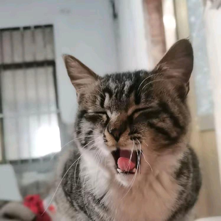 孤独