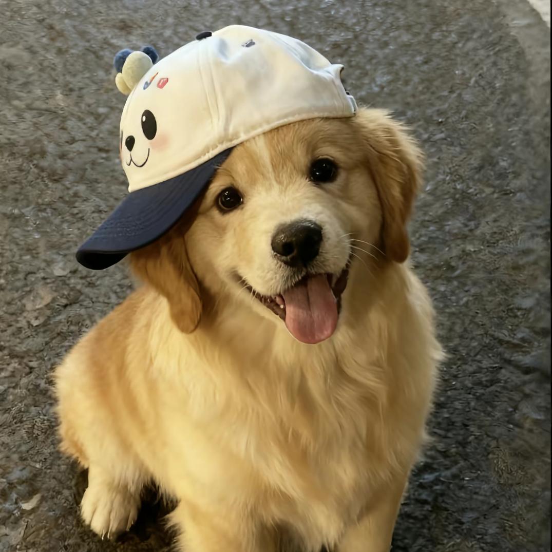 w🐾