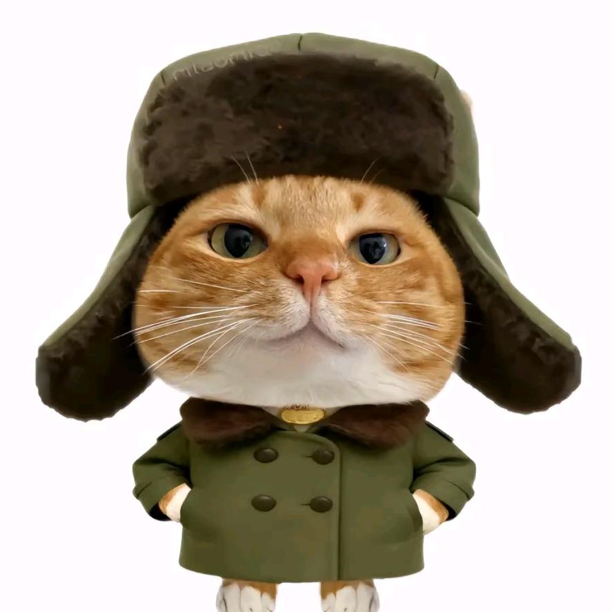 在下毛毛雨🍧🍛