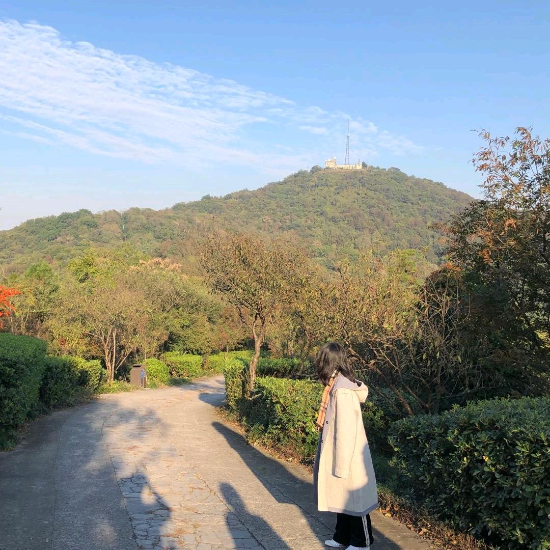 娟娟6.13