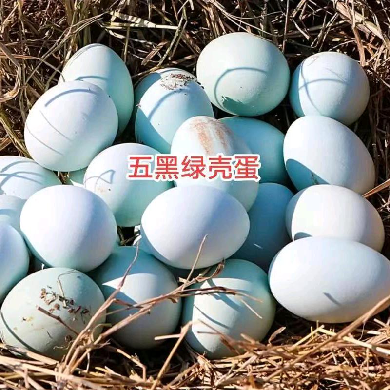 珍羽土鸡蛋【五丈原】
