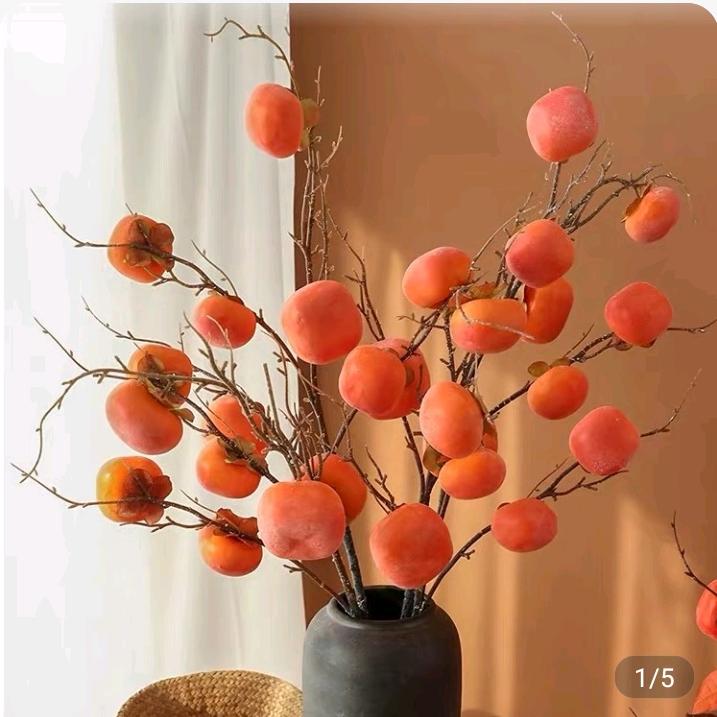 扬帆起航