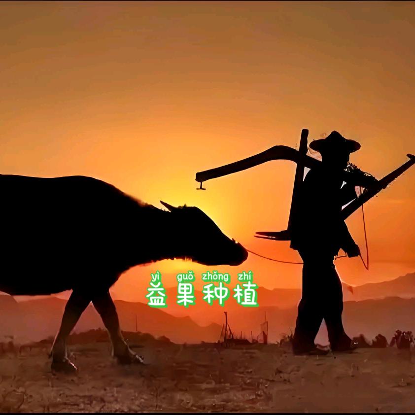 招远市益果种植专业合作社
