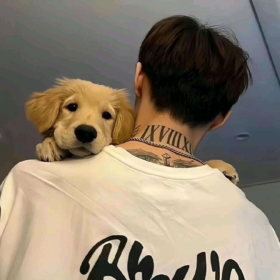 唱花脸的小生🧸