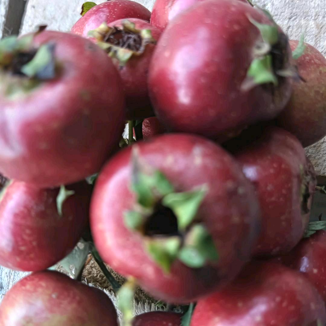 高峰兵哥民间乐队