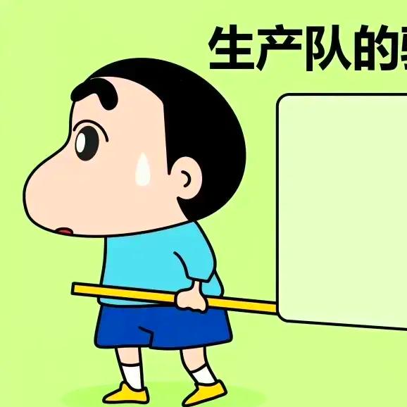 专业解码