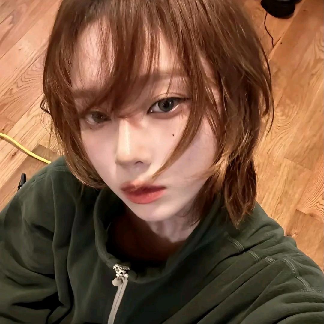 泡泡熊🫧