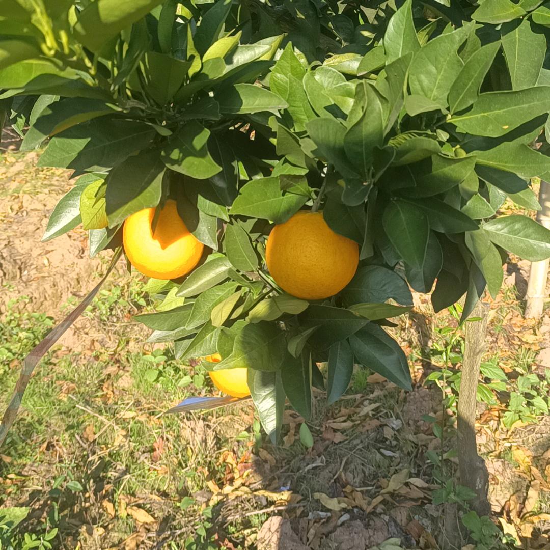 遇见你是缘分