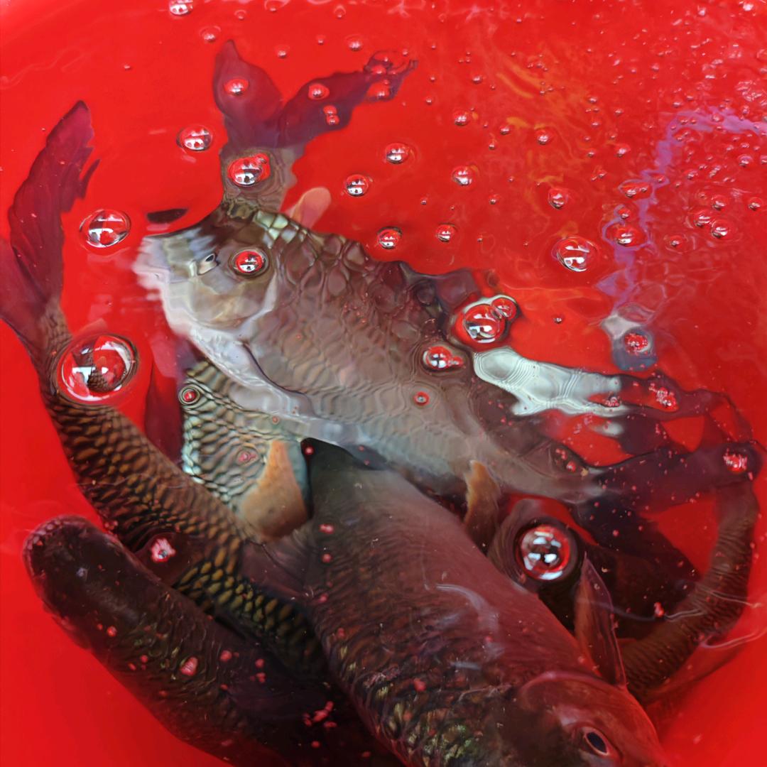 家有萌宝（渔具店）