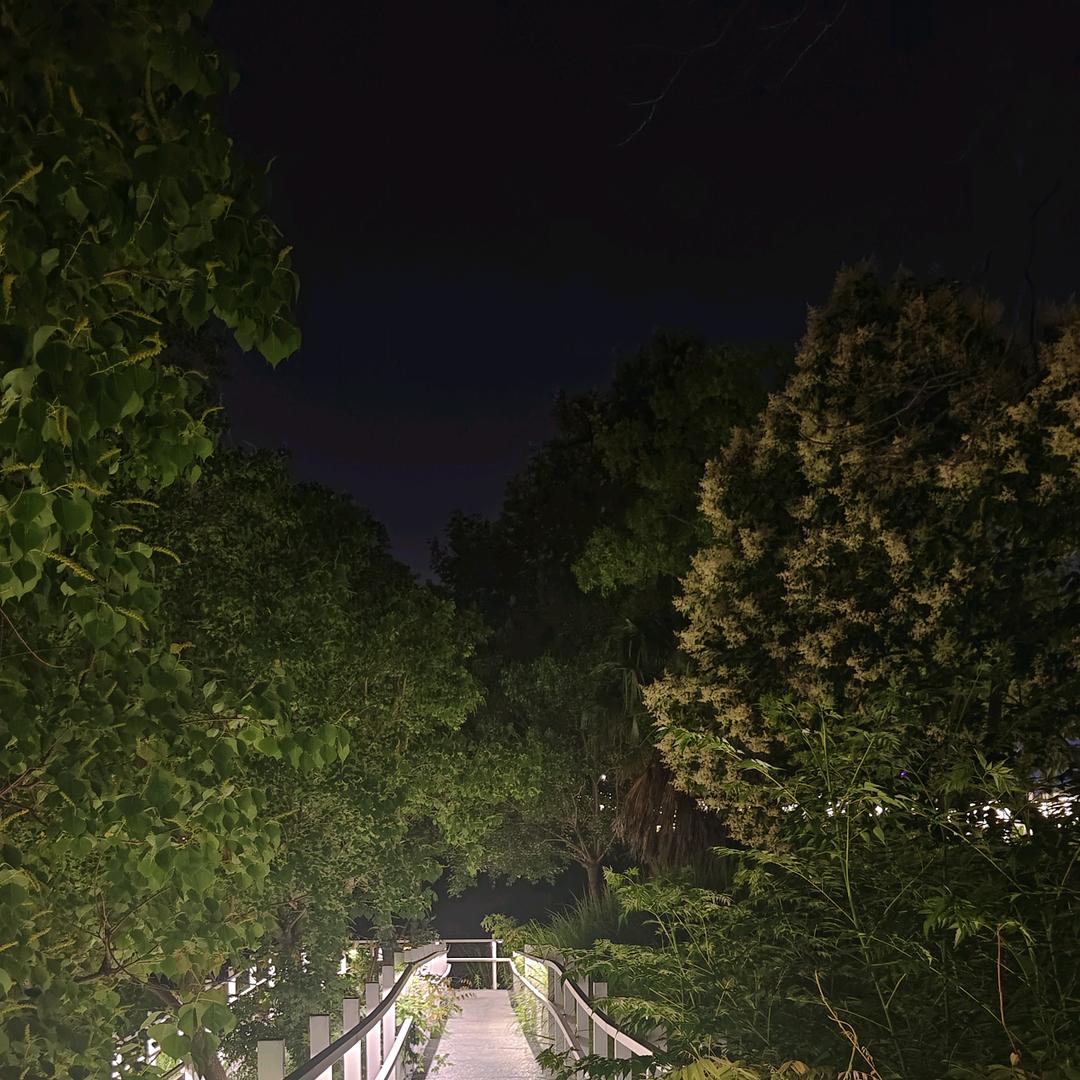 这人生不易