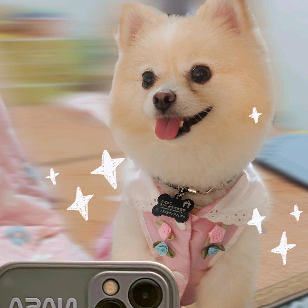 优小优