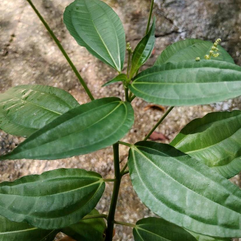 你的世界我退出