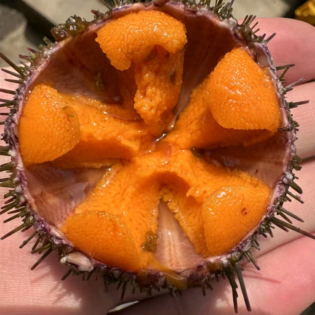 我是潜水员