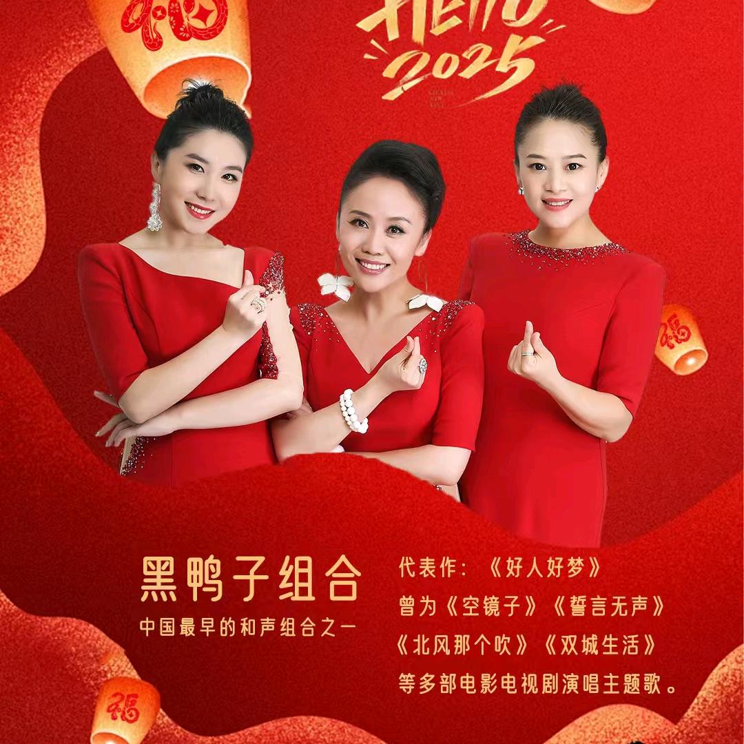 黑鸭子组合