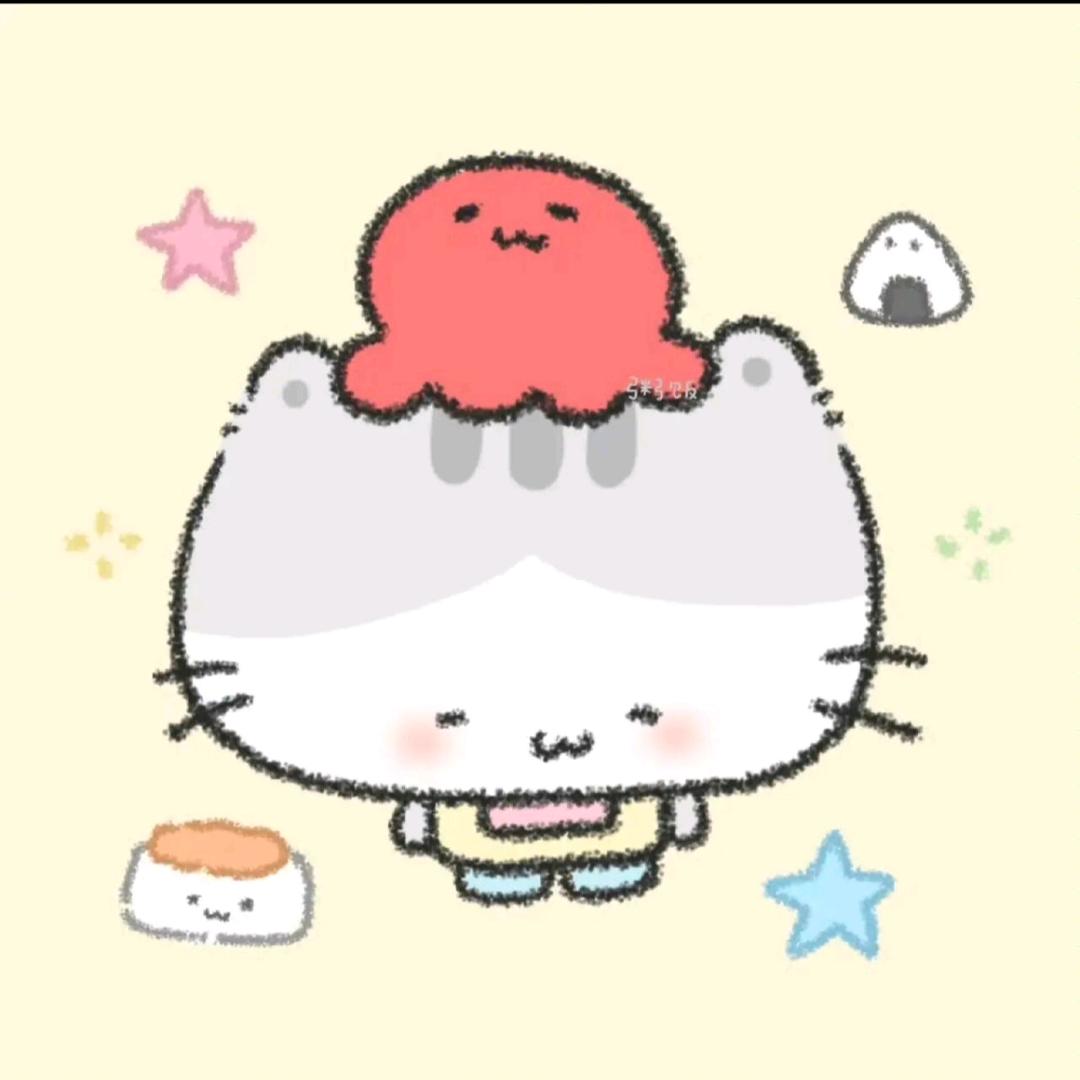 沅圈圈