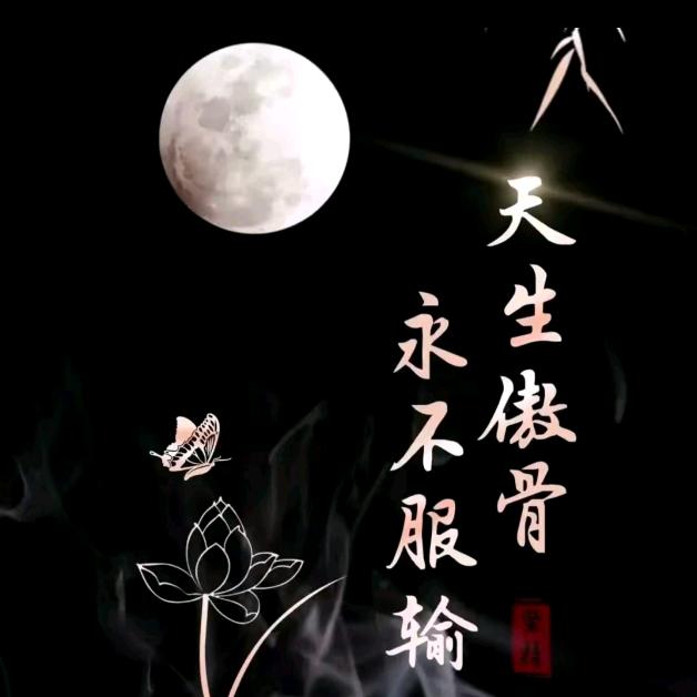 ☞自己强大才是王道☜
