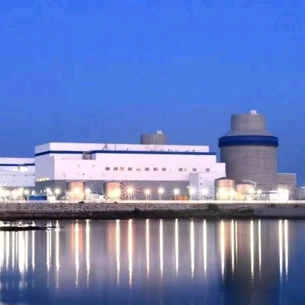 央企，国企，电力指南