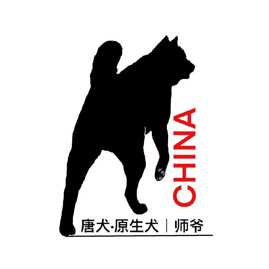唐犬·原生犬｜师爷