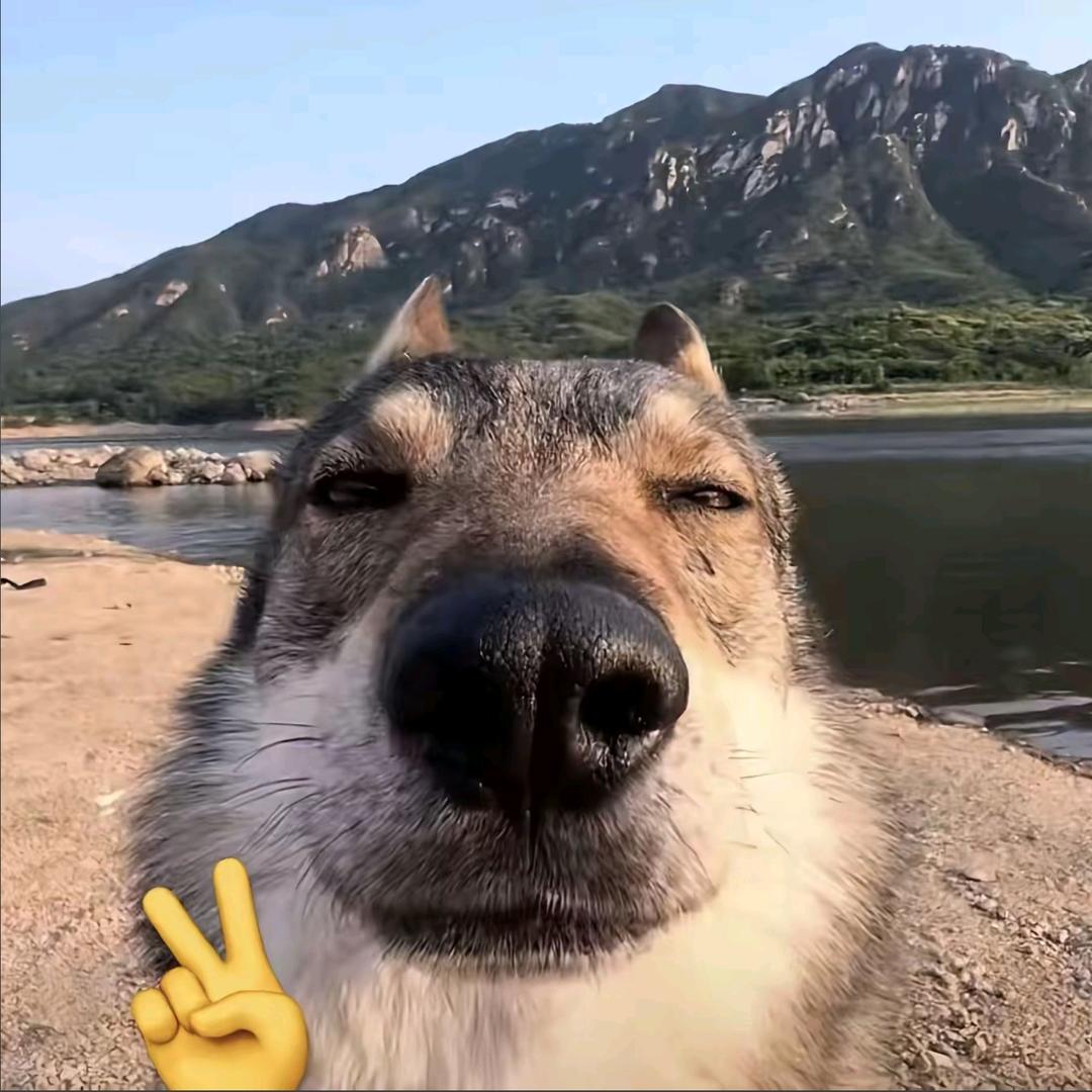 785677
