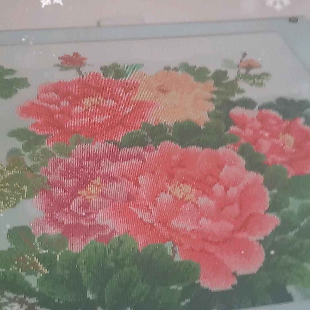 小琦说车